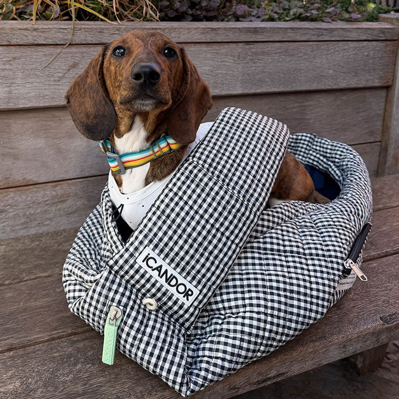 Dumpling Bag | Urban Black