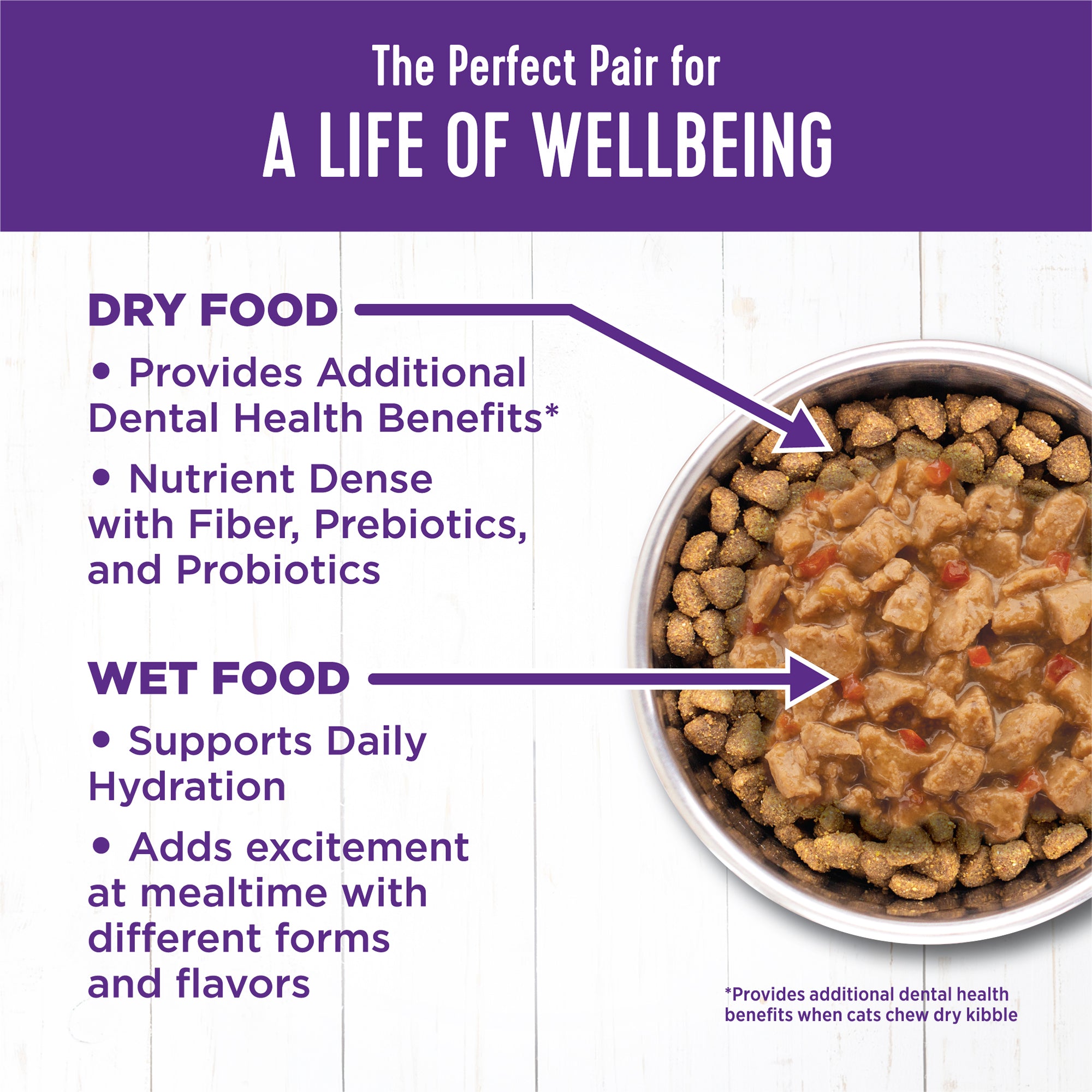 Complete Health™ Minced Wet Cat Food | Chicken Dinner (5.5 oz)