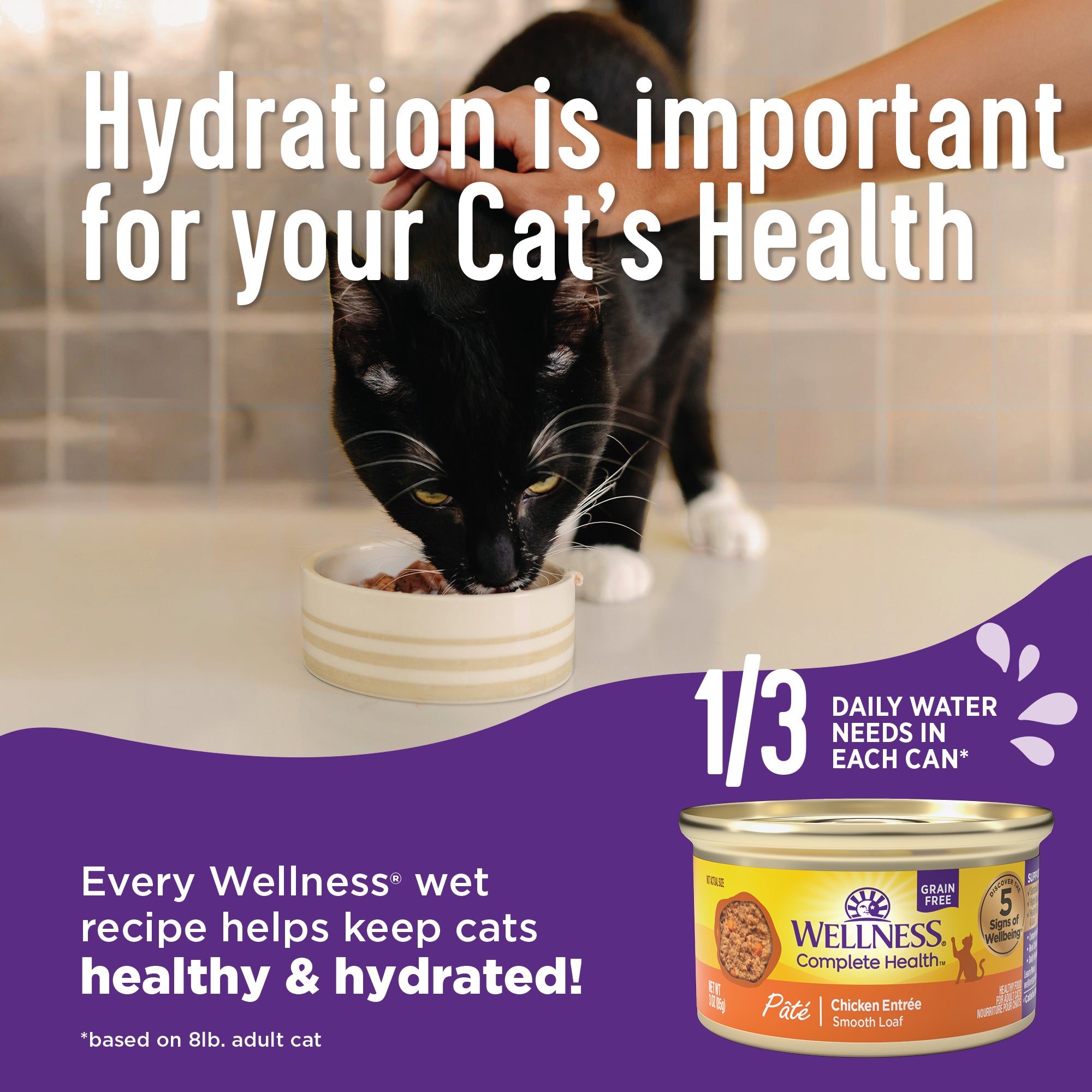 Complete Health™ Minced Wet Cat Food | Tuna Dinner (5.5 oz)