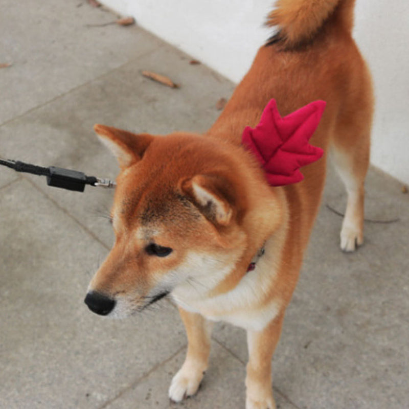 Hikoinu Maple Leaf Pet Collar Clip - CreatureLand
