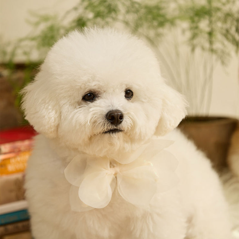 Wedding Leaf Pet Collar Clip