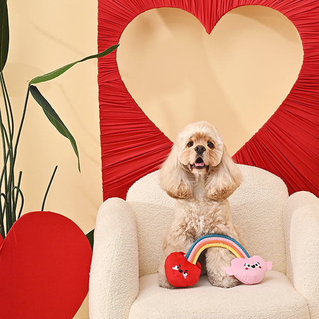 Woof Love – Rainbow Heart Dog Toy