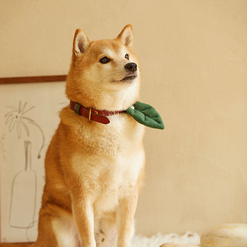 Basic Leaf Pet Collar Clip