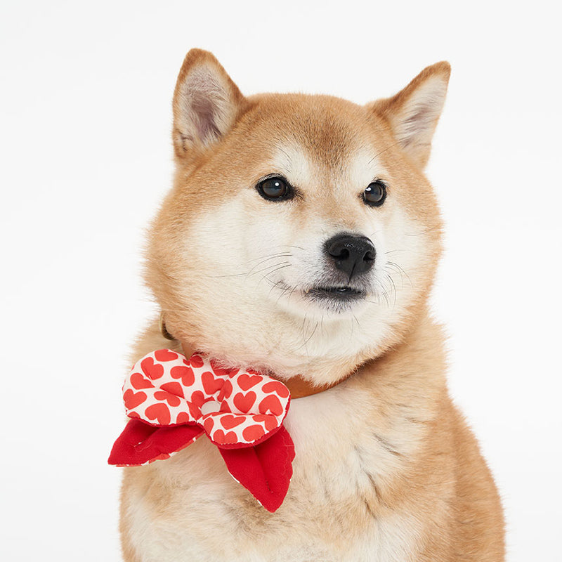 Heart Ribbon Pet Collar Clip