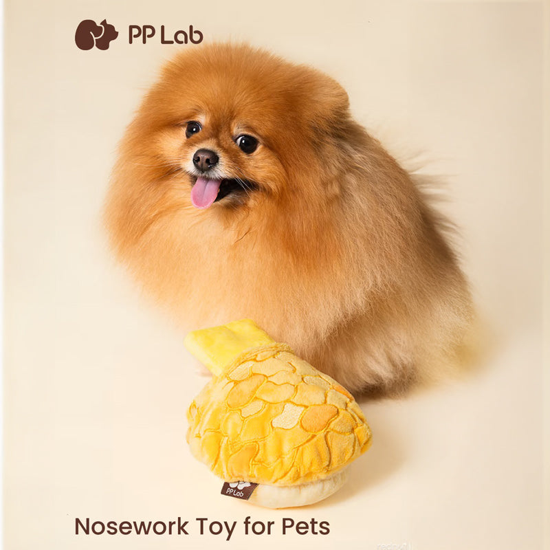 Polo (Pineapple) Bun Nosework Toy
