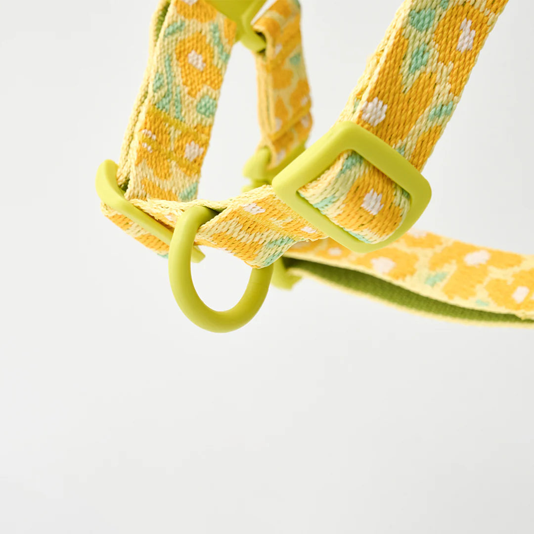 No-Pull Harness | Big Fish Yellow