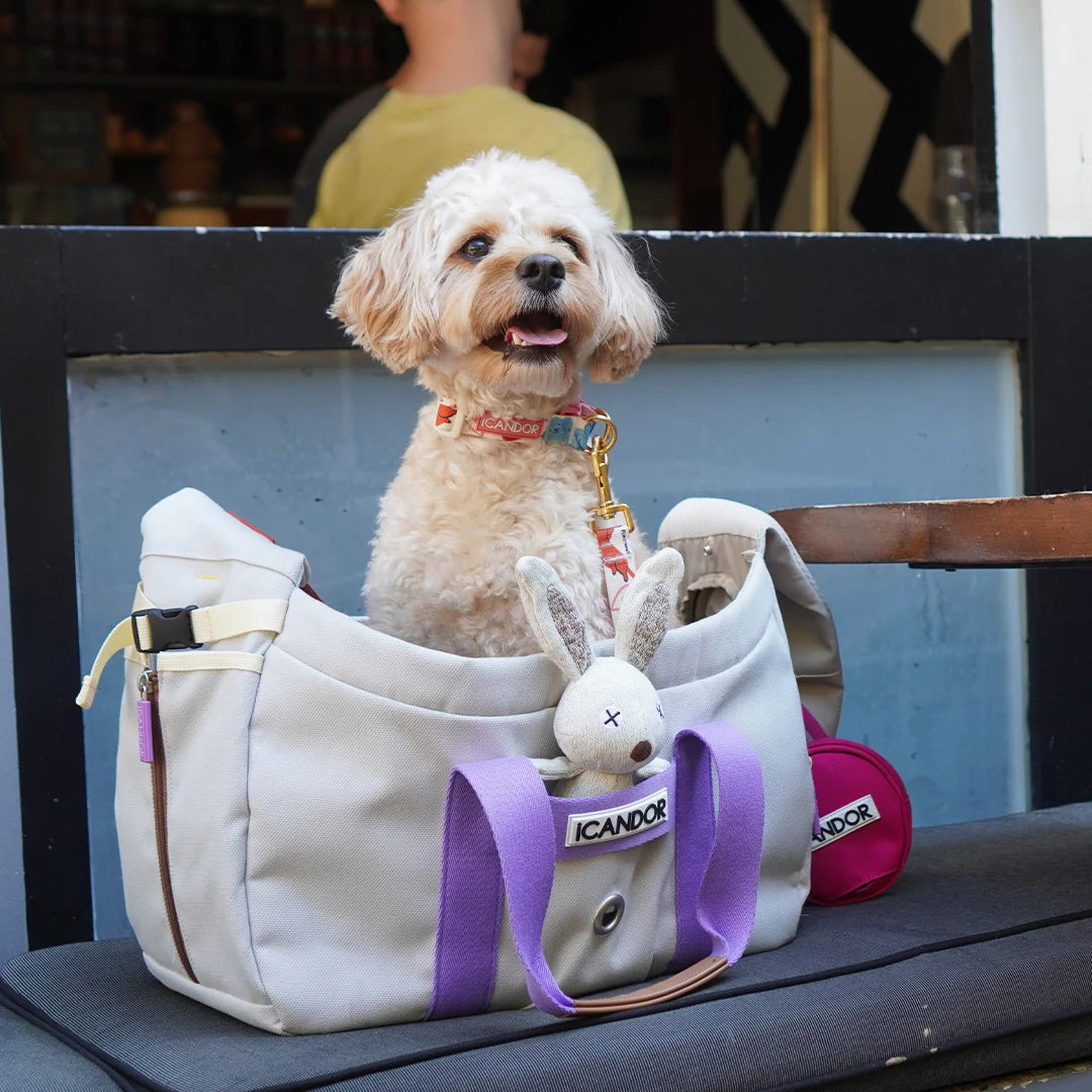 Peek-a-boo Pet Carrier - Plum Grey (2 Sizes)