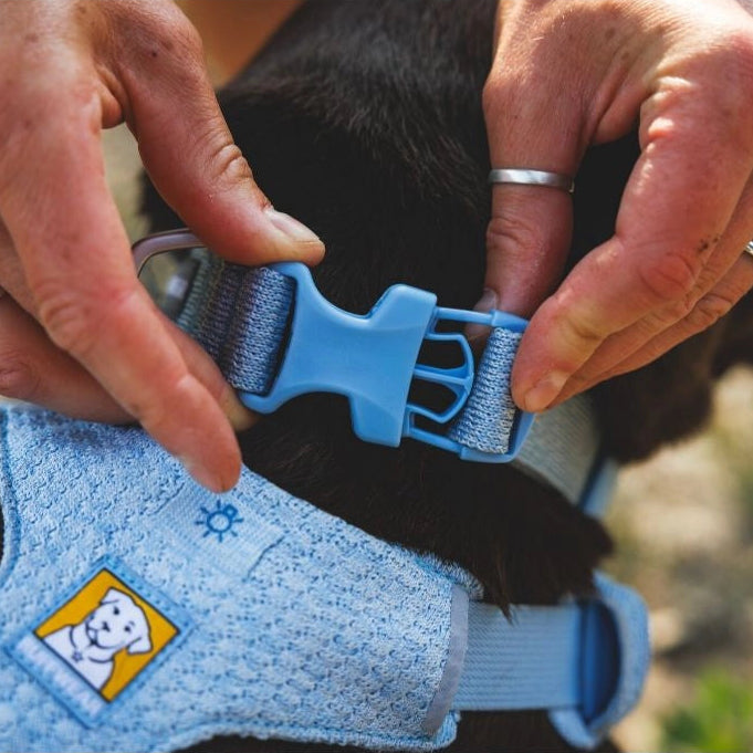 Front Range™ Flex Knit Dog Collar (4 Colours)