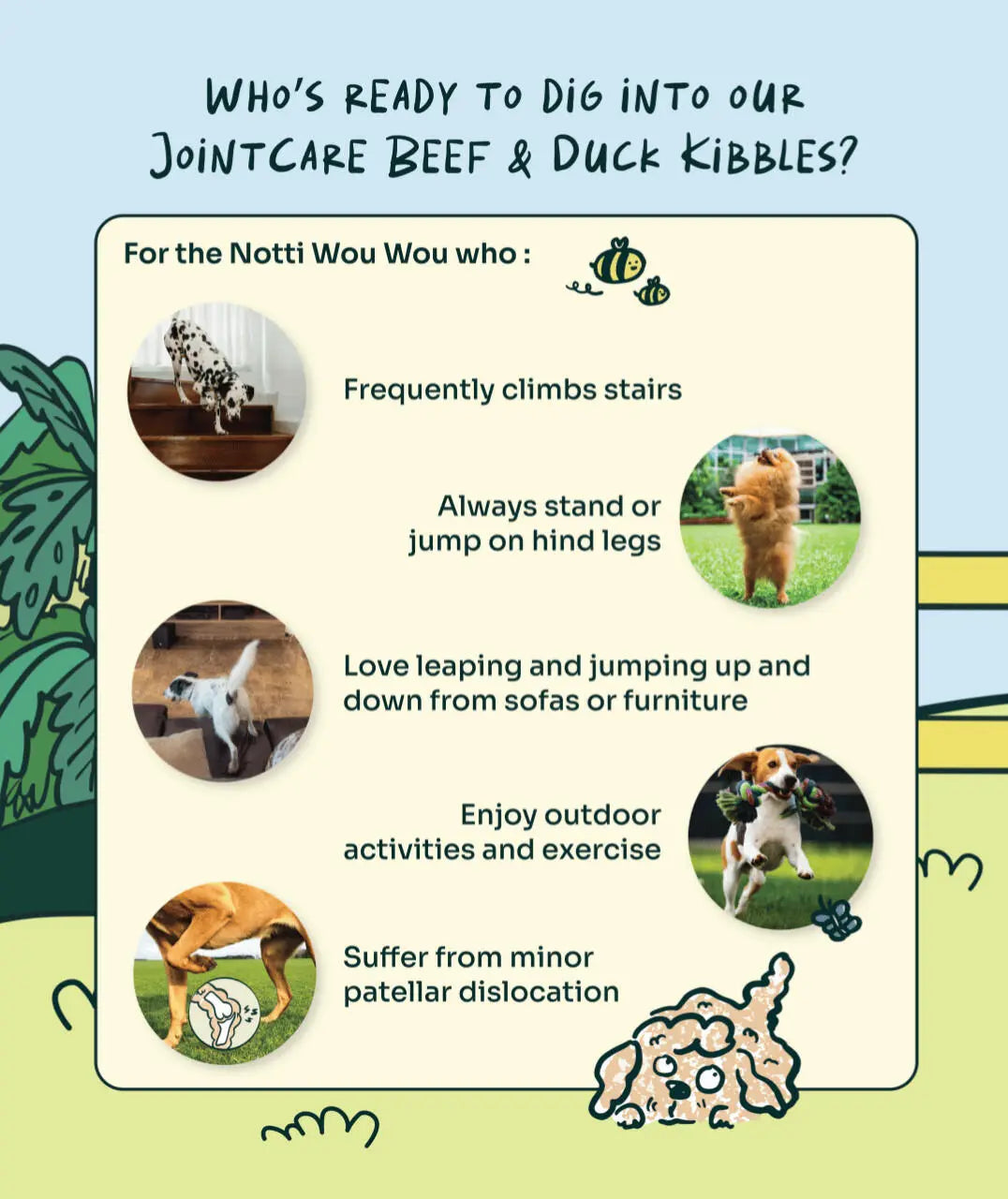 Notti Joint Care Fresh Duck & Beef Dog Dry Food