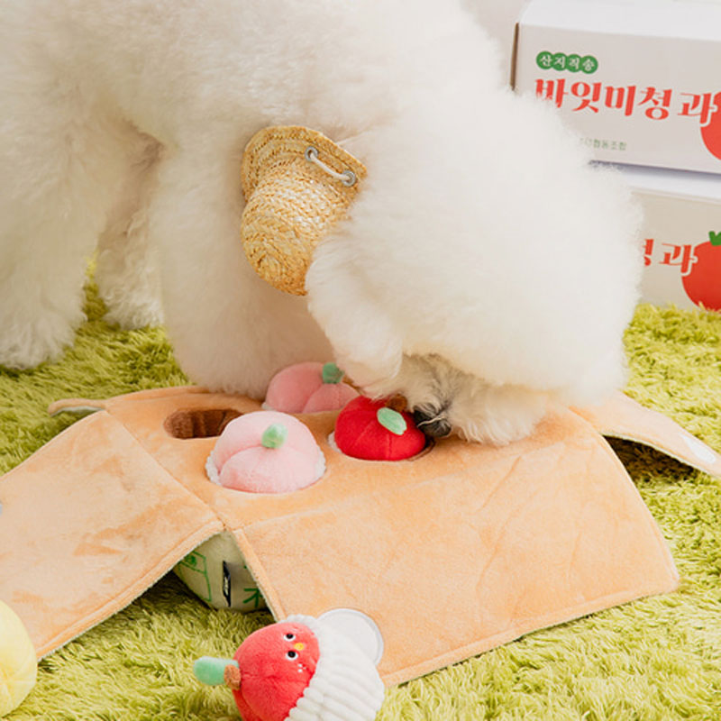 Mixed Fruits Box Nose Work Dog Toy