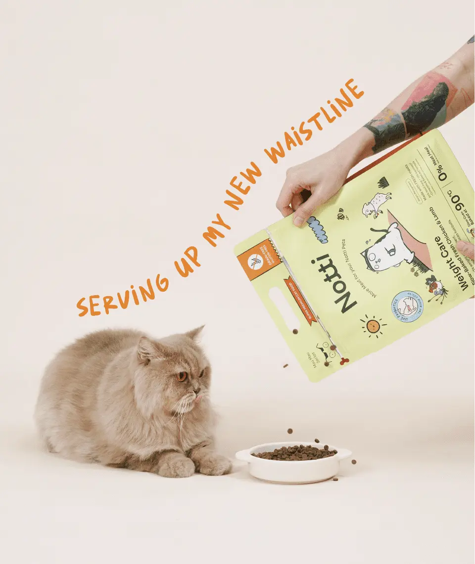 Notti Slow-Baked Fresh Chicken & Lamb Weight Care Cat Dry Food  (For Indoor Cats)