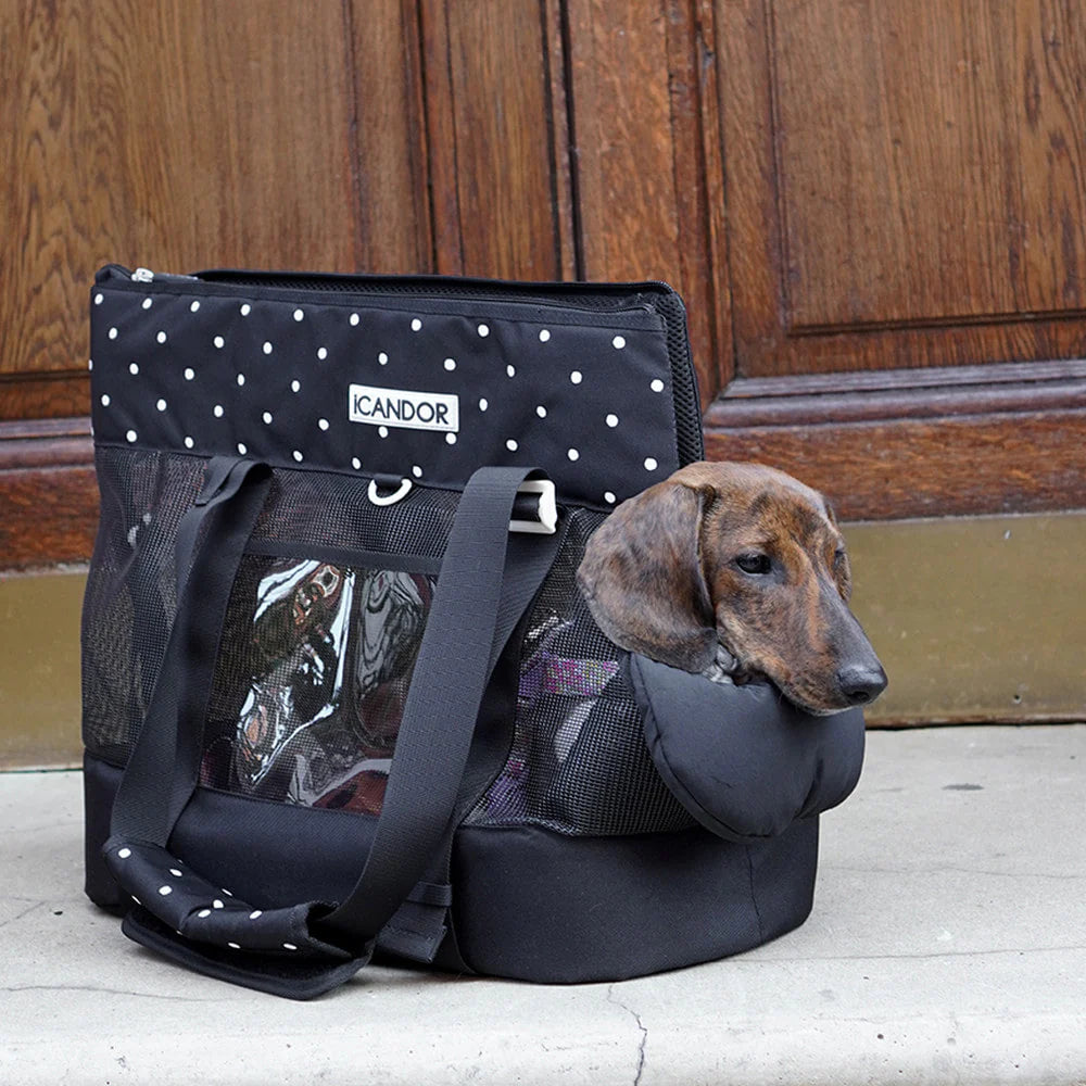 [ PREORDER ] Brisbane Pet Carrier | Capri Black