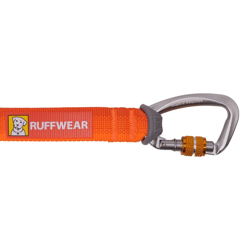 Rogue™ Long Line Dog Training Leash