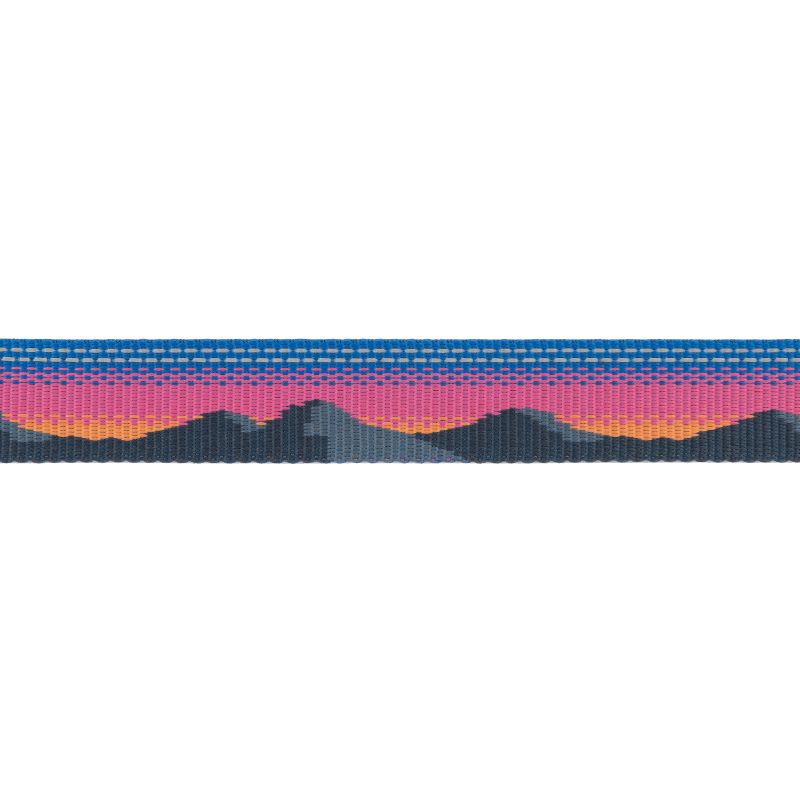 Crag™ Reflective Dog Collar