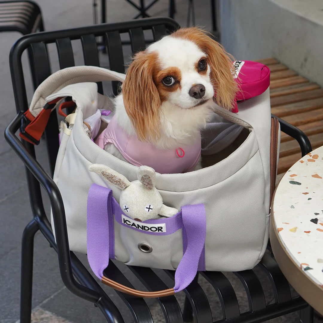 Peek-a-boo Pet Carrier - Plum Grey (2 Sizes)