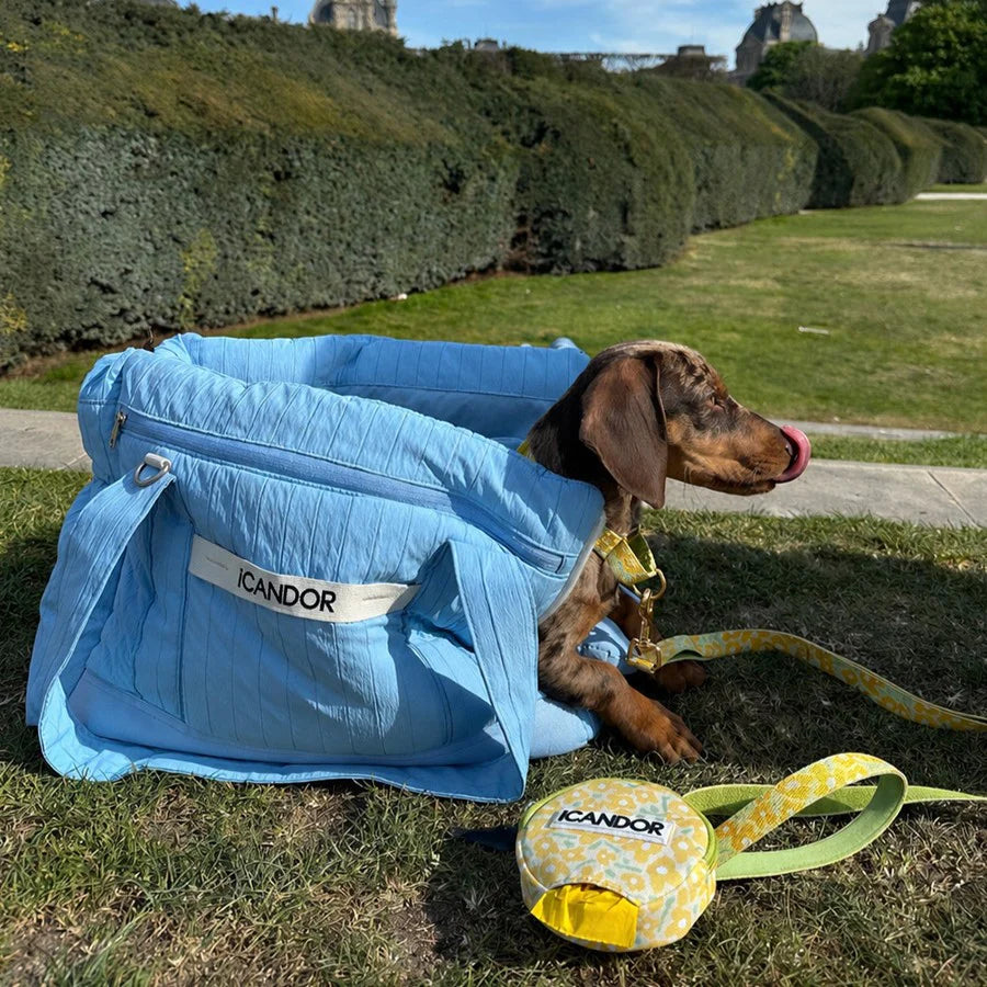[ PREORDER ] Cloud 9 Pet Carrier | Airy Blue