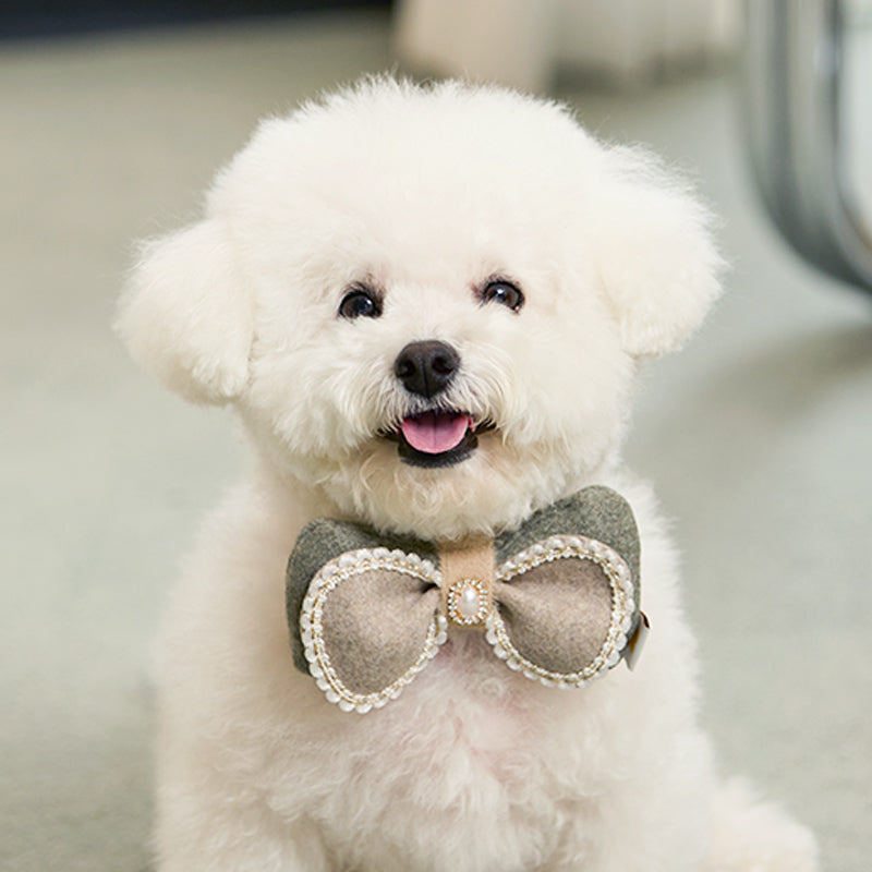 Winter Night Pet Collar Clip (Bow)