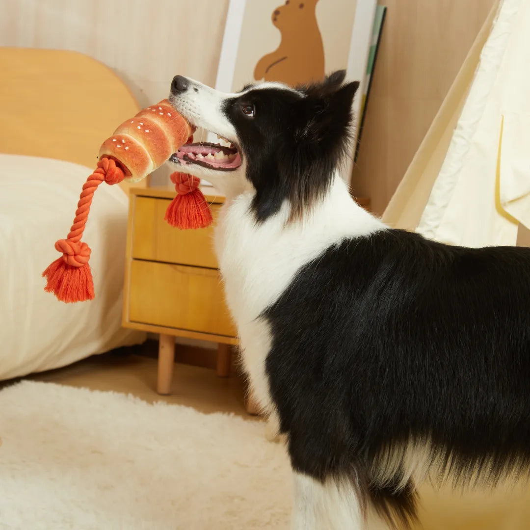 Sausage Bun Tug Toy