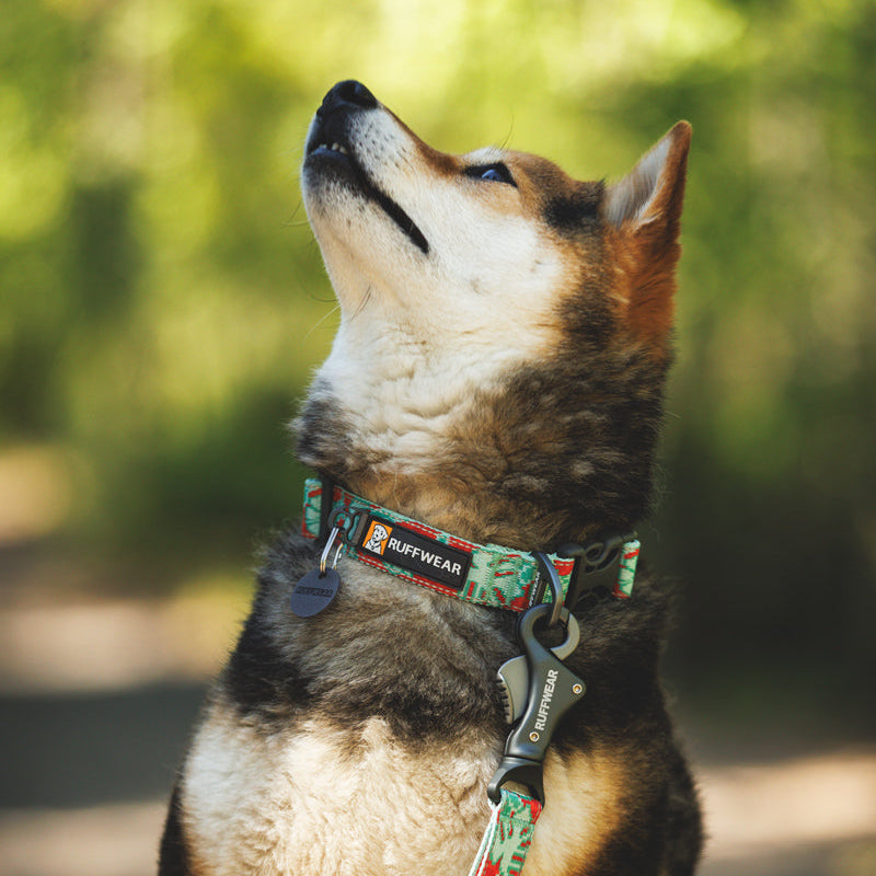 Crag™ Reflective Dog Collar