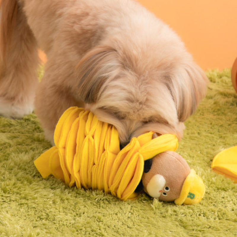 Poki Pocket Nosework Dog Toy (2 Designs)