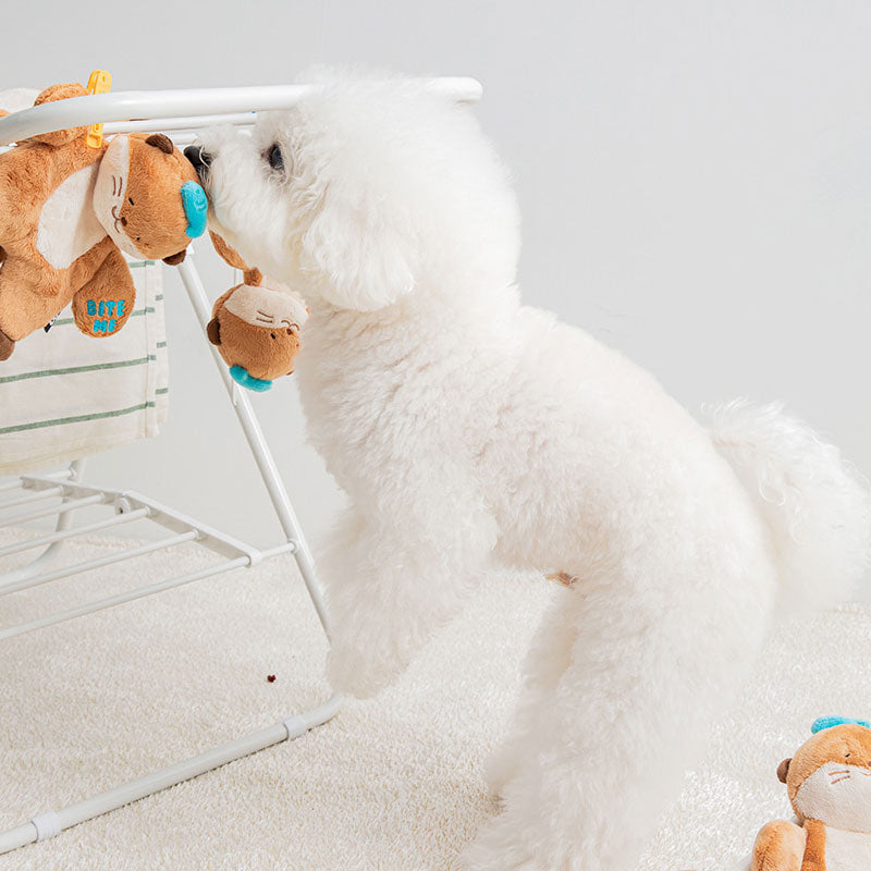 Sea Otter Dog Toy