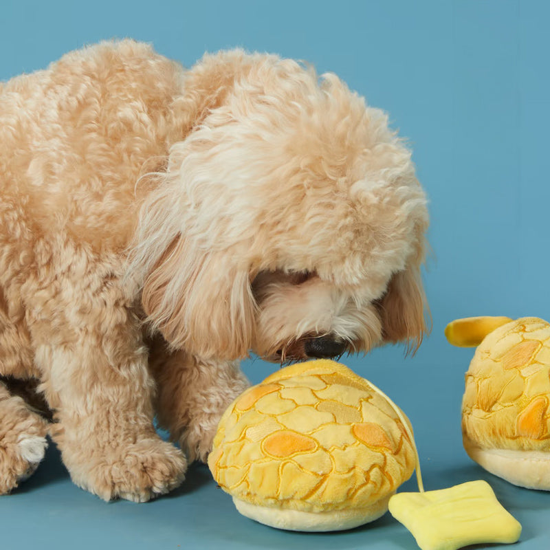 Polo (Pineapple) Bun Nosework Toy