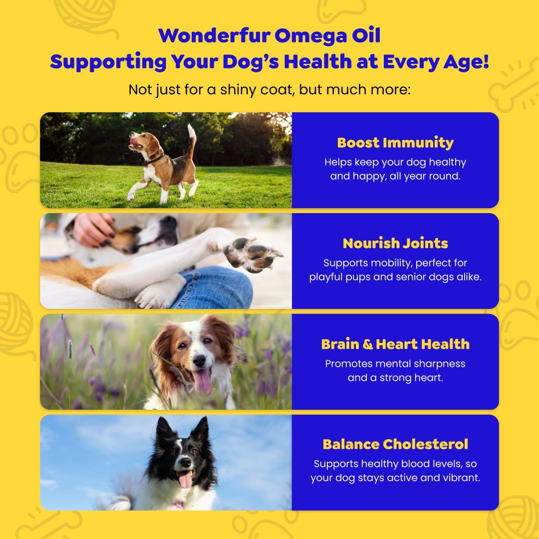 Super Omega Oil for Dogs & Cats (250ml)