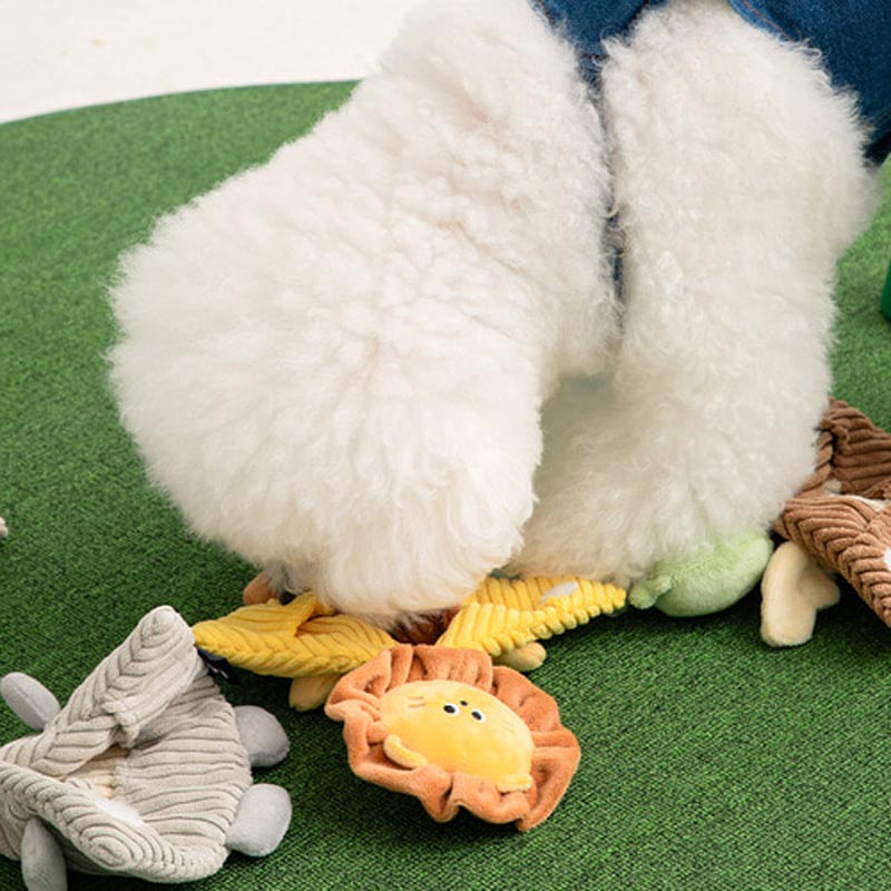 Crinkle Pocket Cape Nosework Dog Toy (3 Designs)