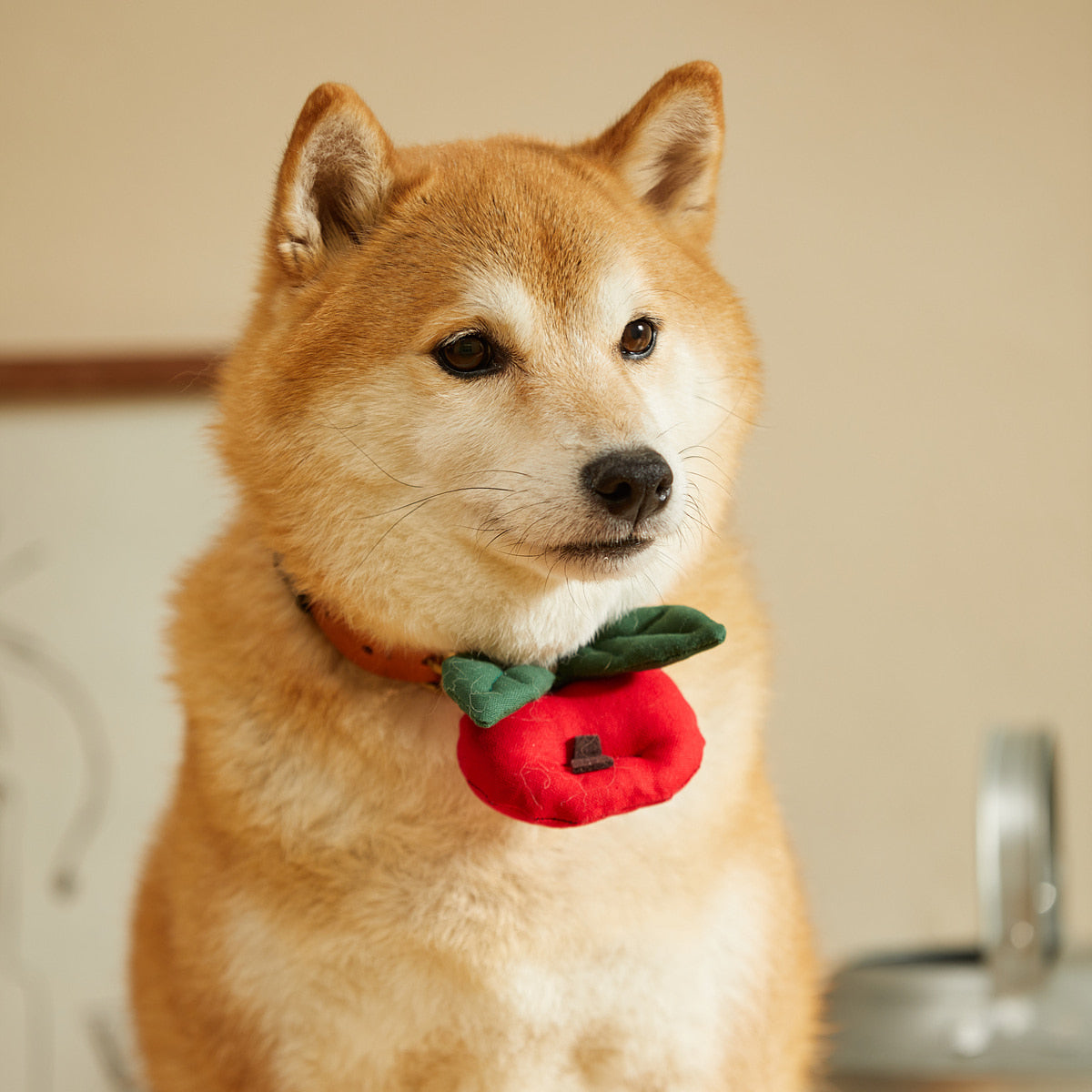 HIKOINU Apple & King Apple Pet Collar Clip - product photo 5