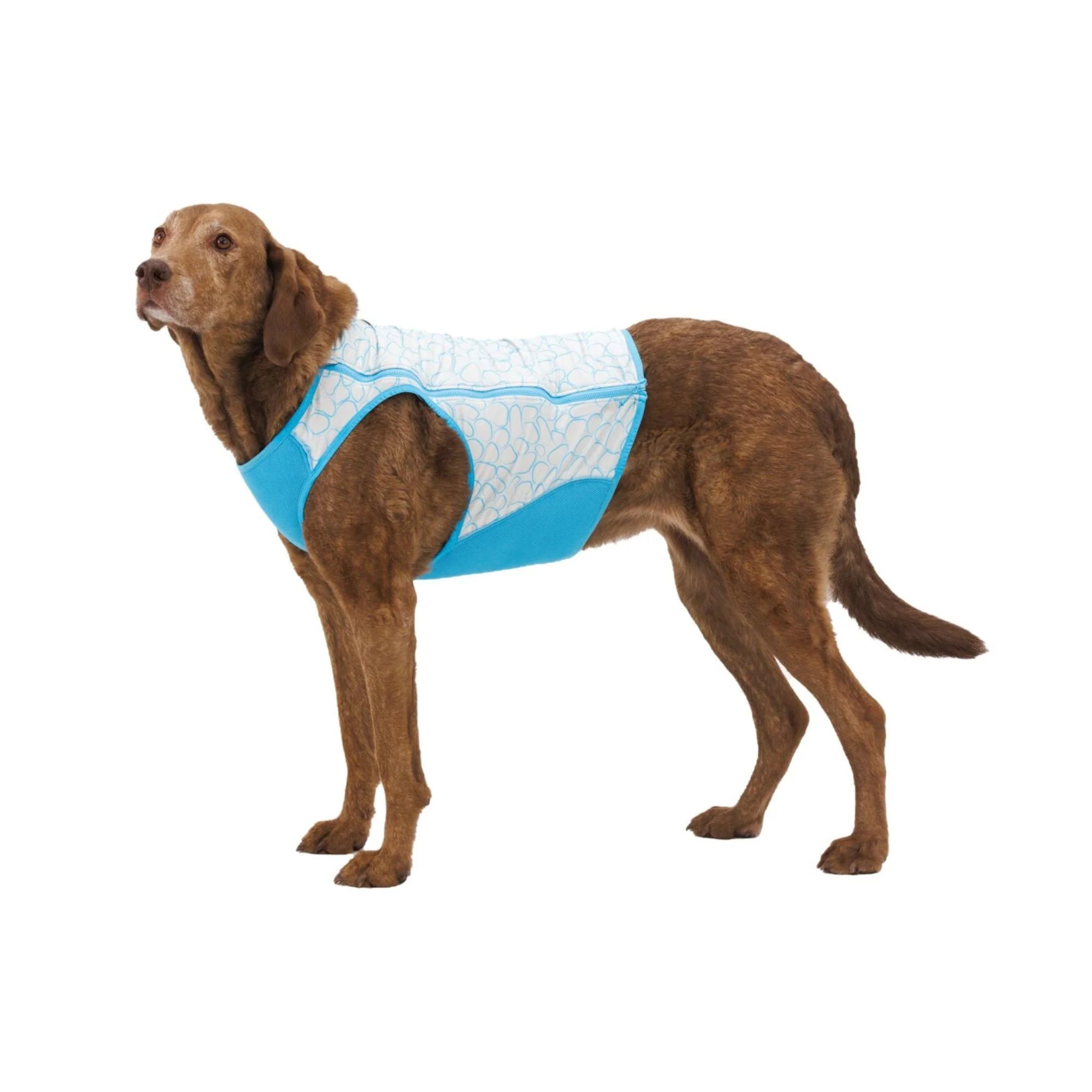 Swamp Cooler Zip™ Cooling Dog Vest (2 Colours)