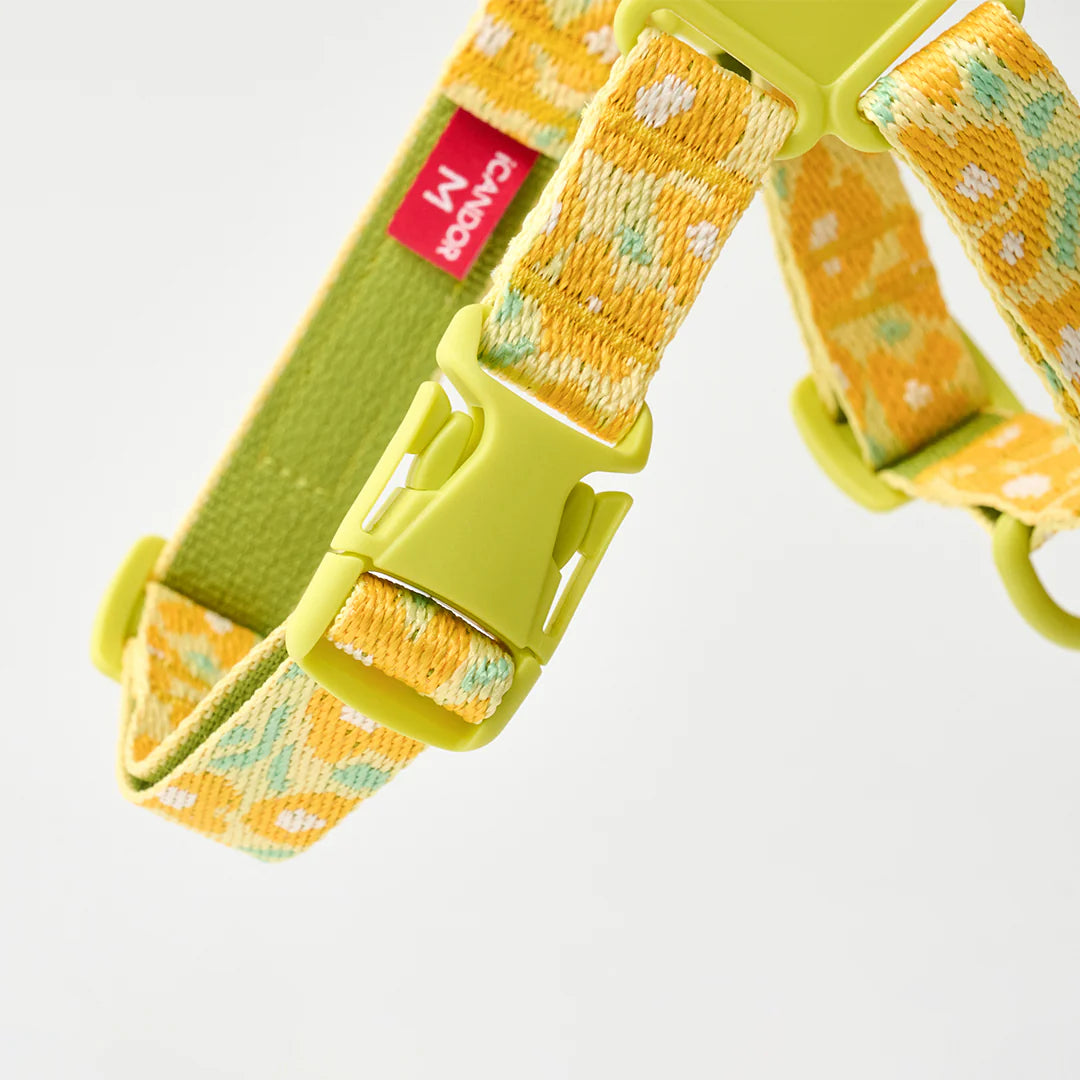 No-Pull Harness | Big Fish Yellow