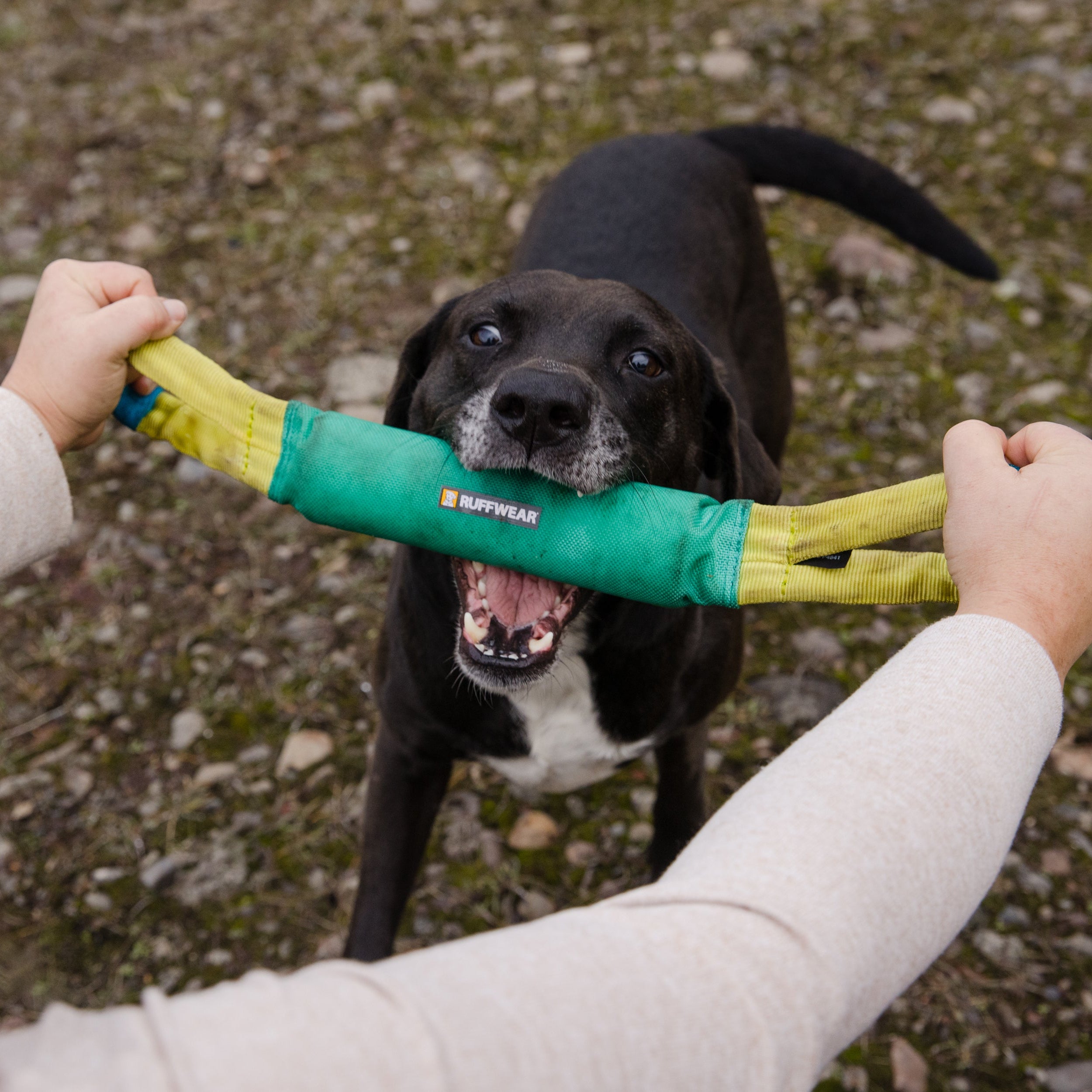 Pacific Loop™ Tug & Fetch Dog Toy