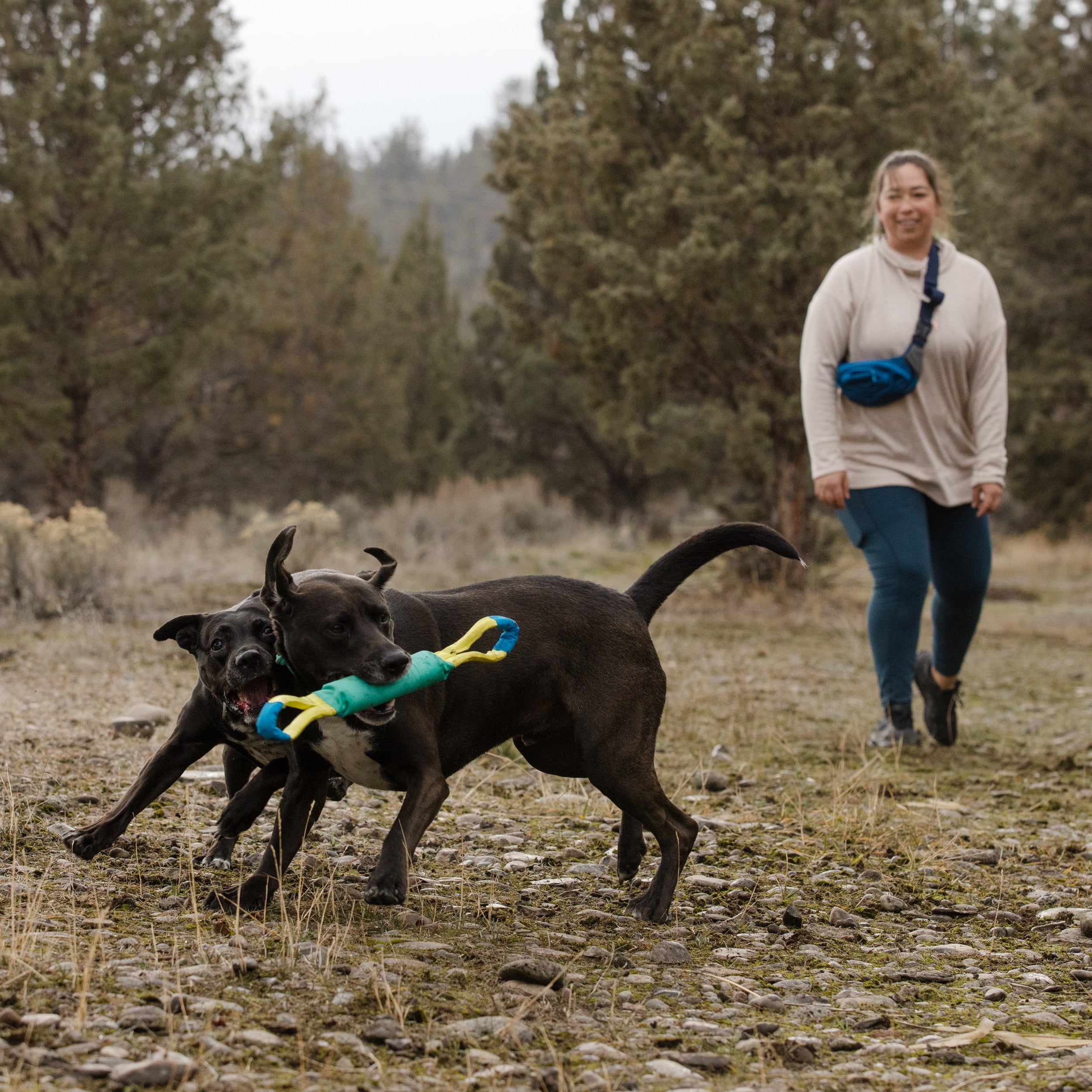 Pacific Loop™ Tug & Fetch Dog Toy