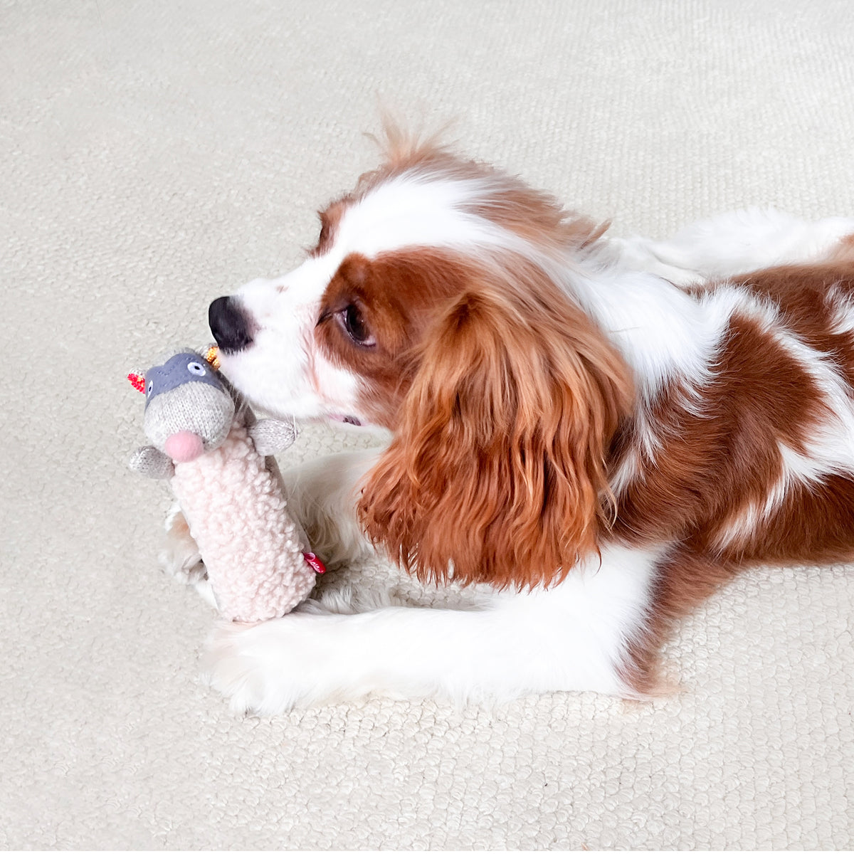 Plush Friendz | Skunk with Sponge Squeaker