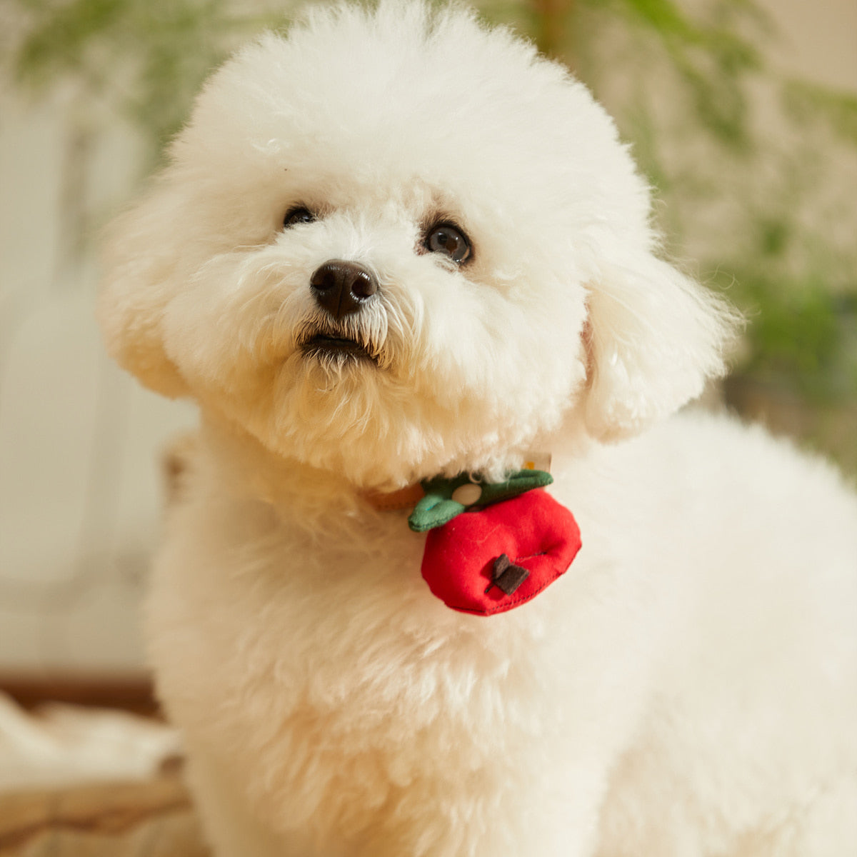 HIKOINU Apple & King Apple Pet Collar Clip - product photo 2