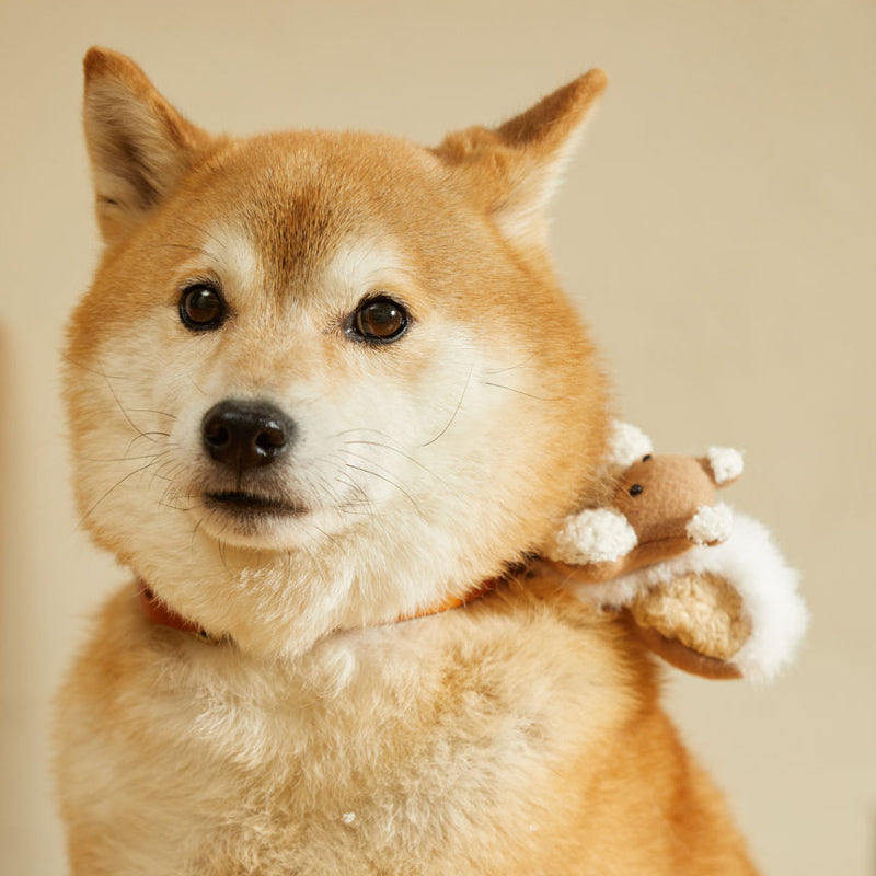 Hikoinu Squirrel Pet Collar Clip - CreatureLand