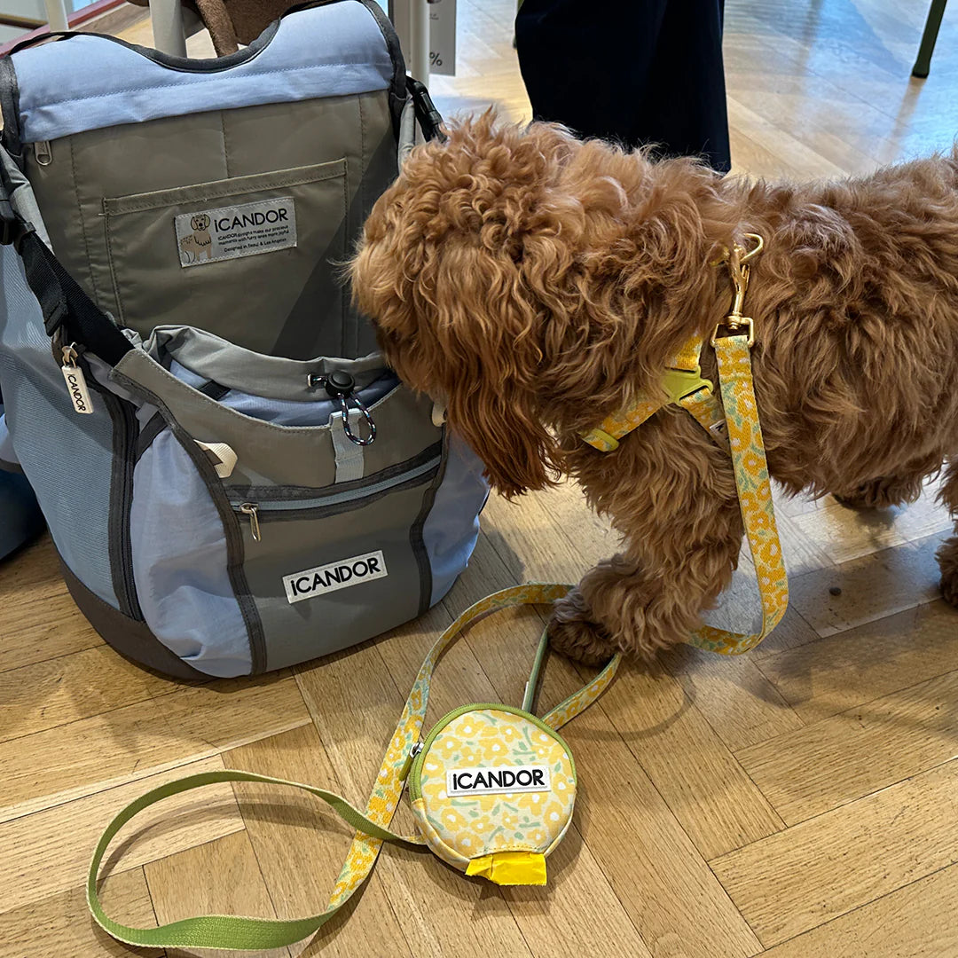 iCandor 3-in-1 Walking Kit: Big Fish Yellow