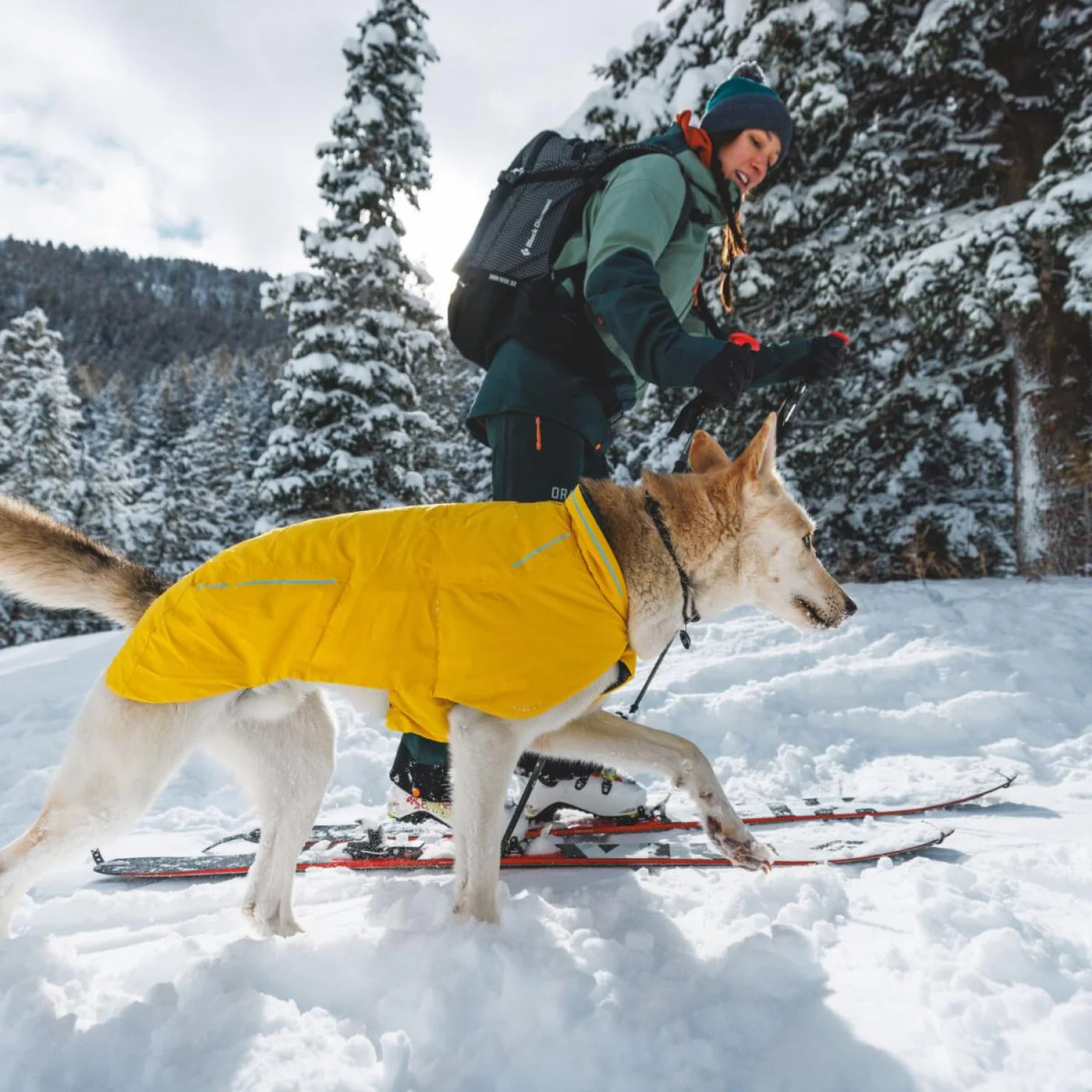 Knot-a-Collar™ Reflective Rope Dog Collar (4 Colours)