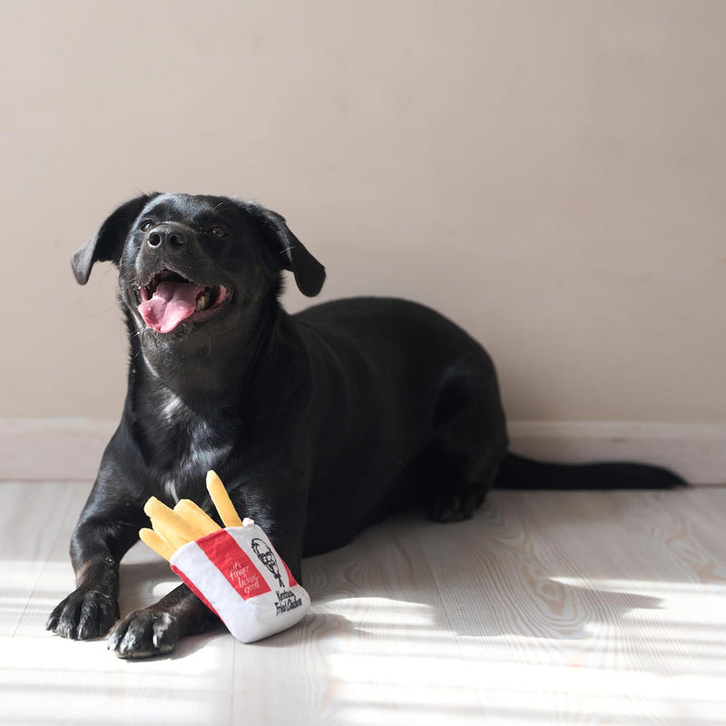 KFC Feast Nosework Plush and Latex Dog Toy