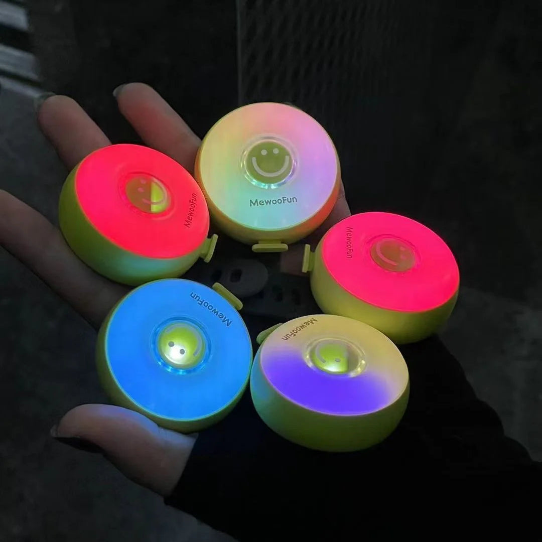 LED Pet Safety Walking Light