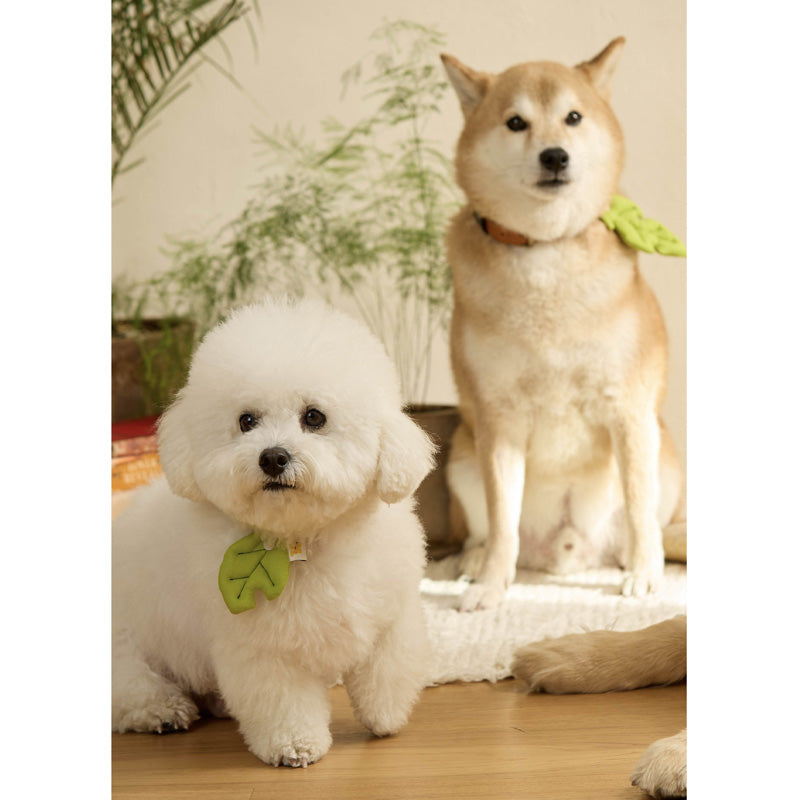 Baby Leaf Pet Collar Clip