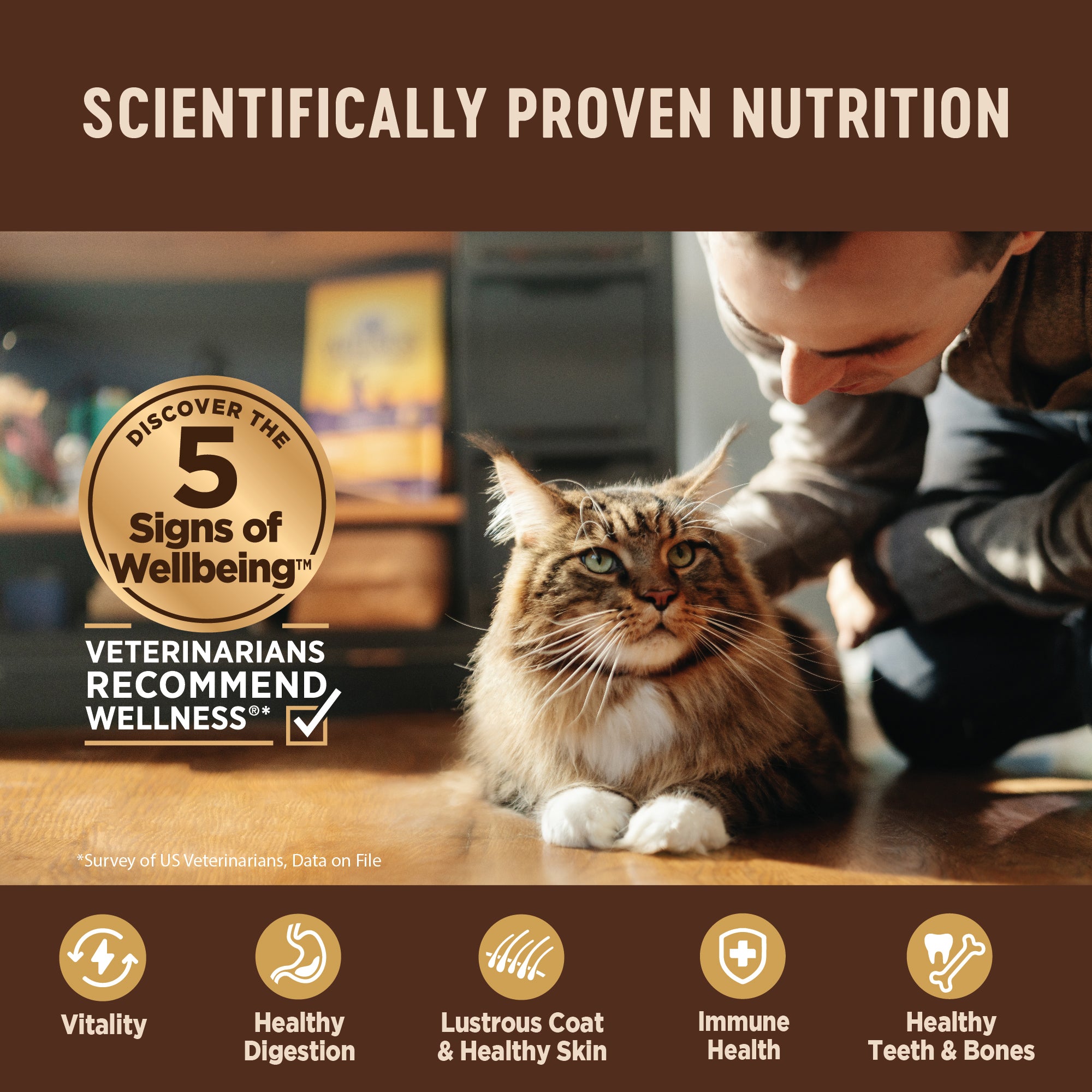 CORE® Classic Pâté Wet Cat Food | Whitefish, Salmon & Herring (5.5 oz)