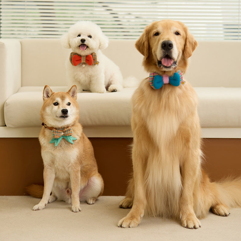 Candy Jellybon Pet Collar Clip (Bow)