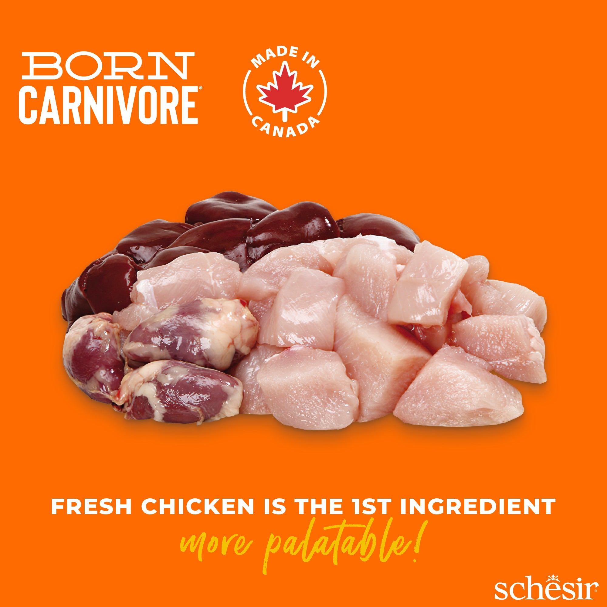 Schesir Born Carnivore Chicken with Egg Oven Baked Grain Free Dry Cat Food