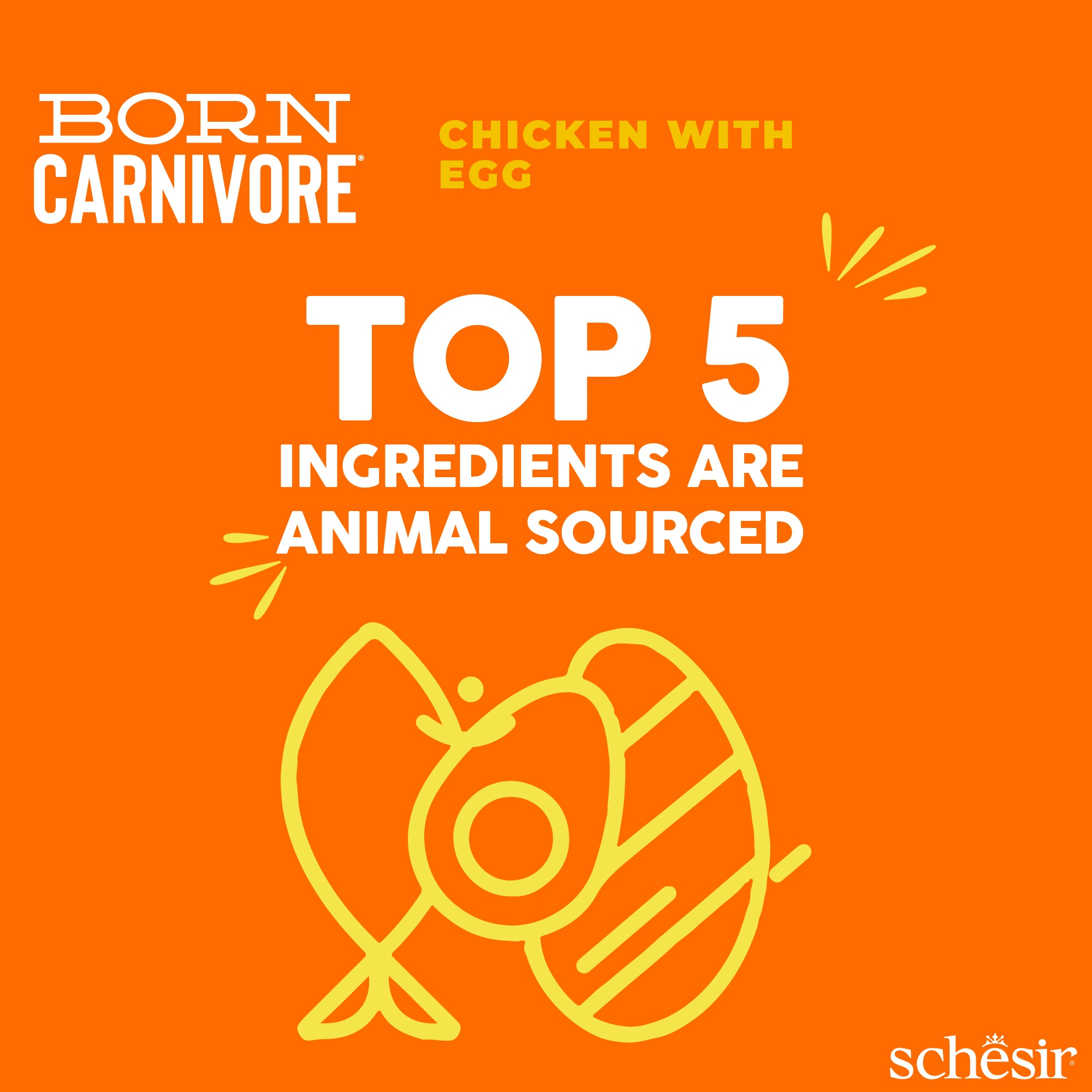 Schesir Born Carnivore Chicken with Egg Oven Baked Grain Free Dry Cat Food