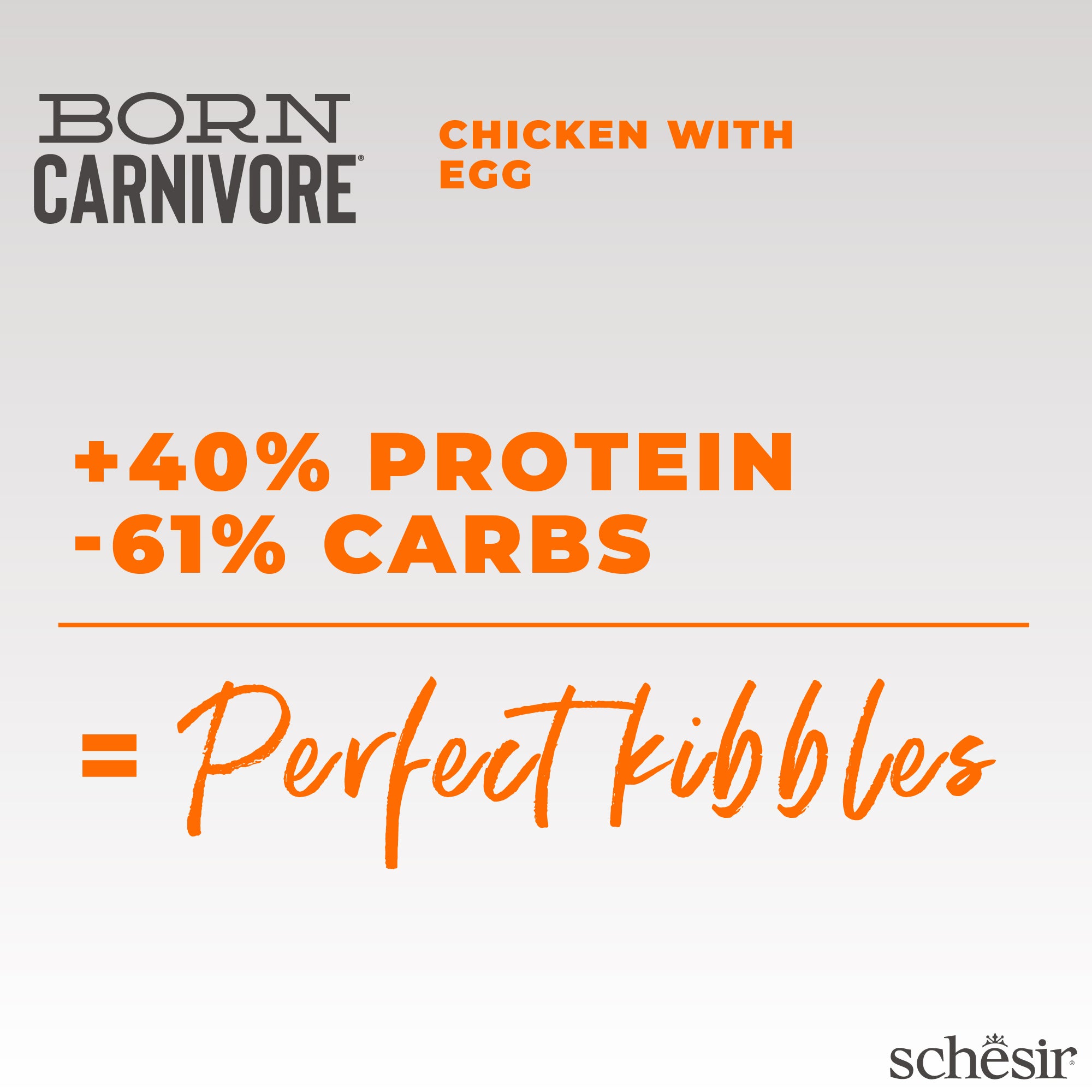 Schesir Born Carnivore Chicken with Egg Oven Baked Grain Free Dry Cat Food