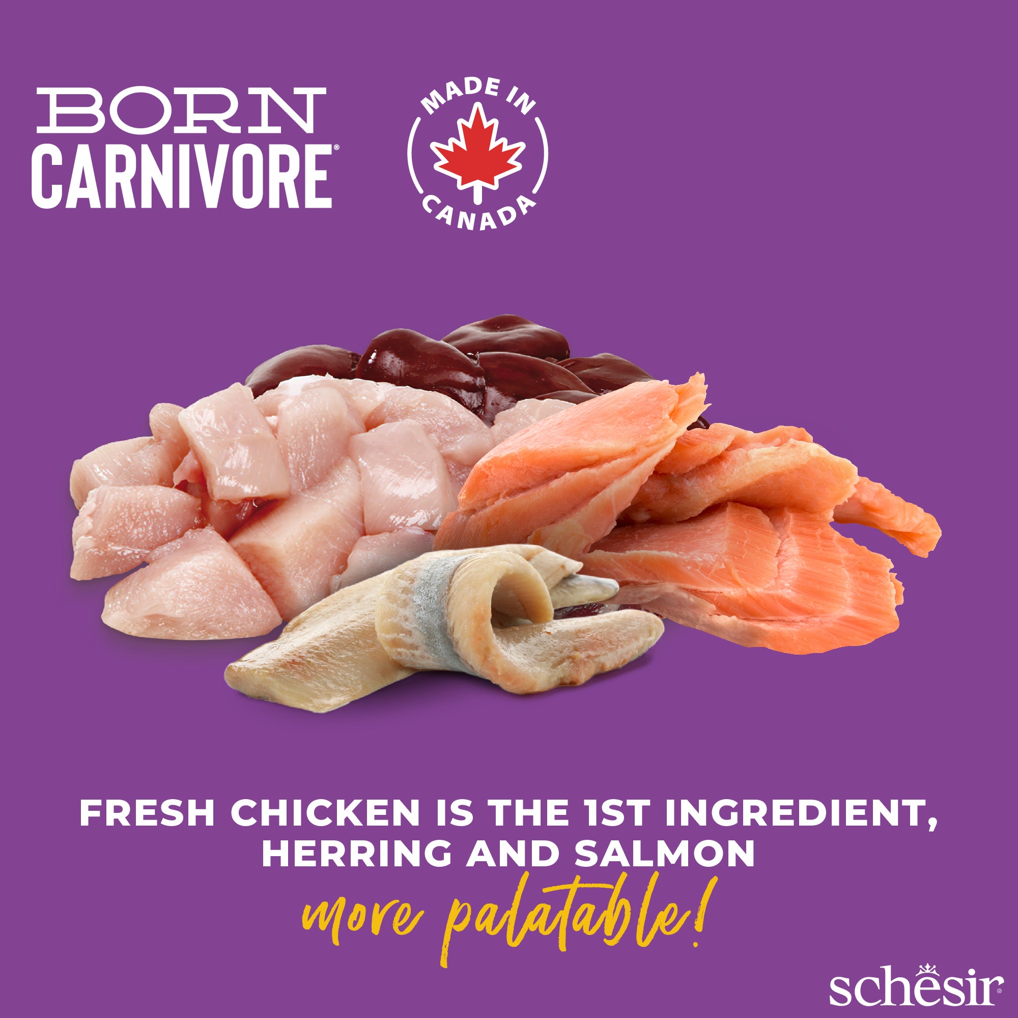 Schesir Born Carnivore Chicken with Herring & Salmon Oven Baked Grain Free Dry Cat Food
