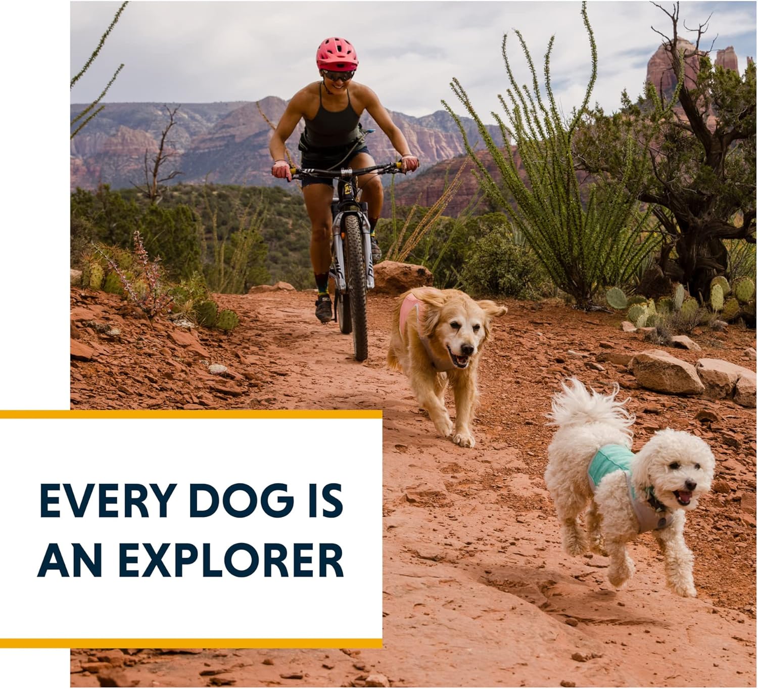 Swamp Cooler Zip™ Cooling Dog Vest (2 Colours)