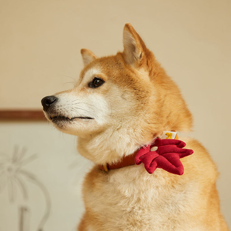 Hikoinu Maple Leaf Pet Collar Clip - CreatureLand