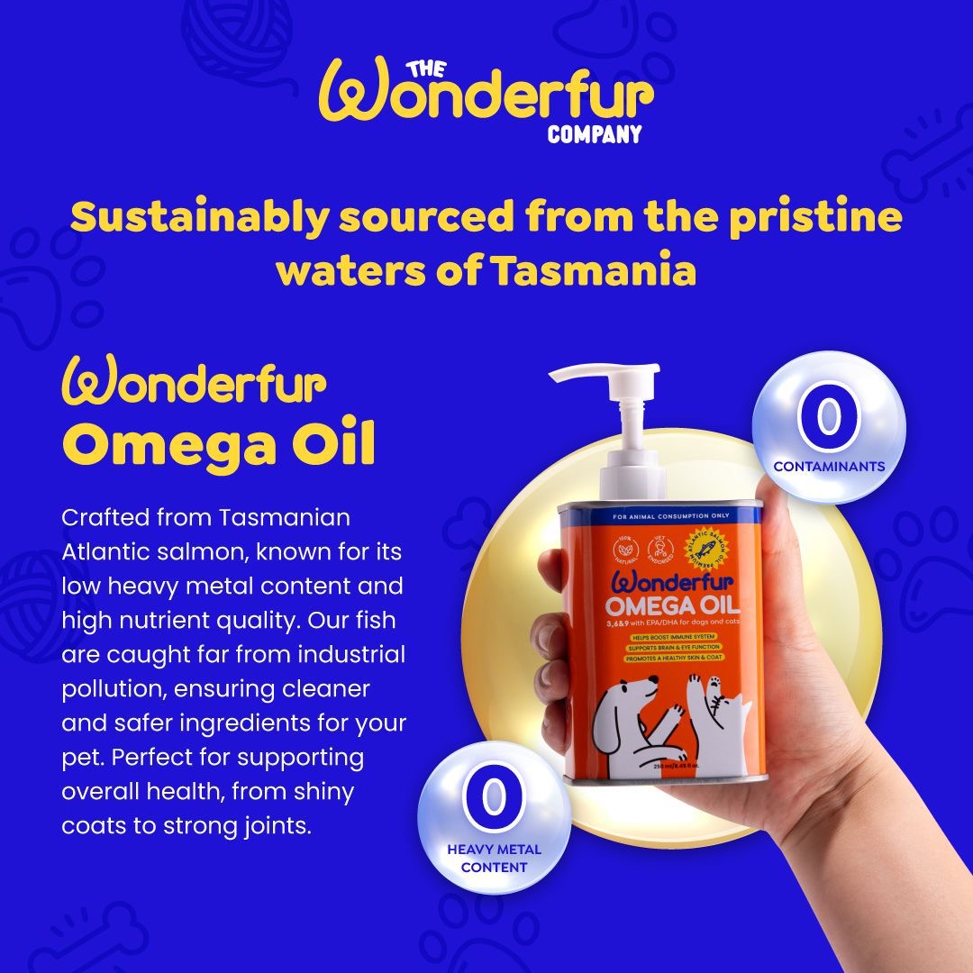 Super Omega Oil for Dogs & Cats (250ml)